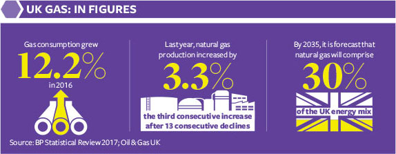 UK Gas: In figures Infographic