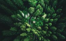 high angle view in Washington state.Image credit | iStock 