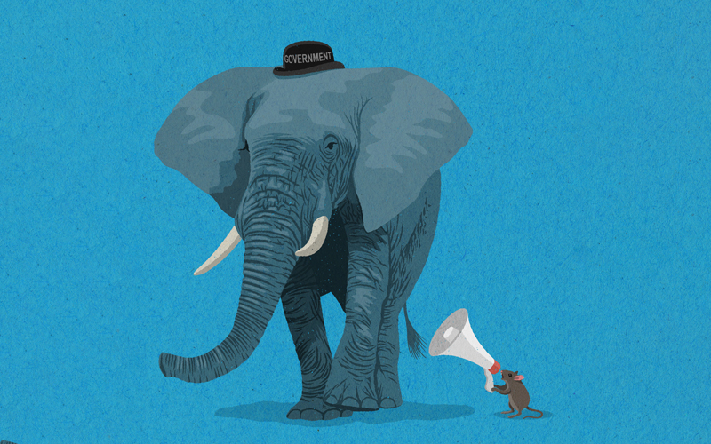 elephant mouse credit john - holcroft