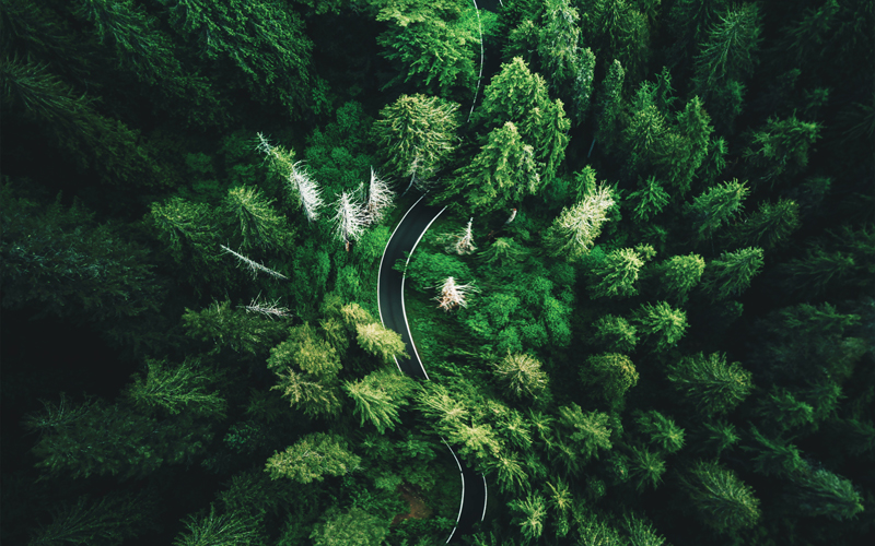 high angle view in Washington state.Image credit | iStock 