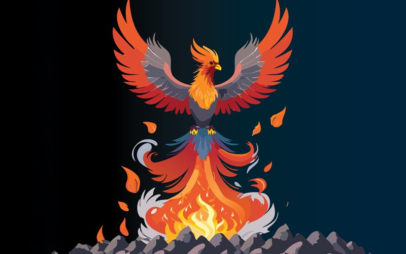 Phoenix Credit_ADOBE-ILLUSTRATOR-AI