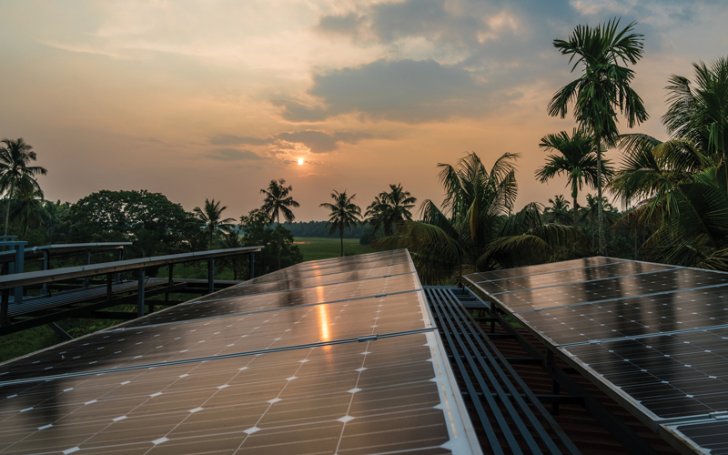 india solar panels-credit-istock-879723412
