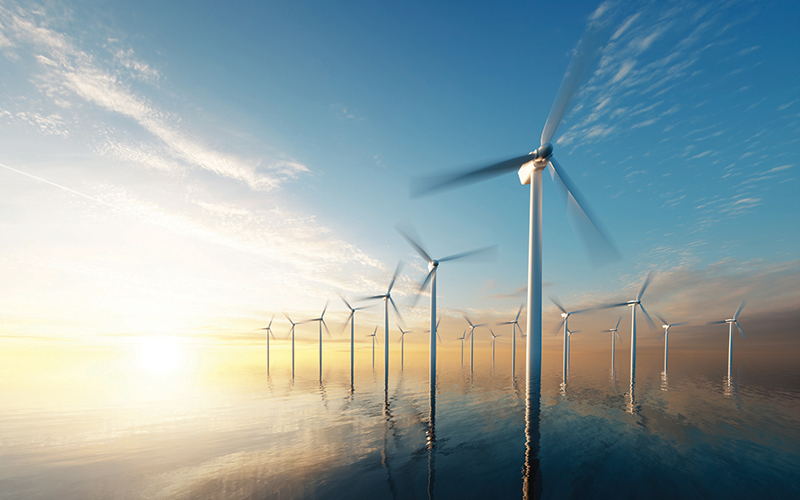 Spotlight: Brazil offshore wind projects under environmental analysis -  BNamericas